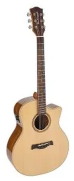 Richwood Master Series Handmade Acoustic Guitar "Songwriter O" SWG-130-CE