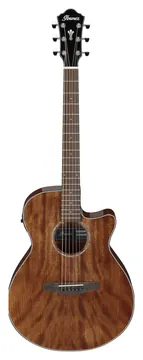 Ibanez AEG61 Natural Mahogany Gloss