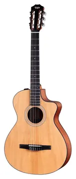 Taylor 112CE-N Klassieke Gitaar met Element inclusief Gigbag