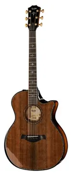 Taylor Builde`s Edition 914ce