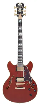 D'Angelico Excel Mini DC Viola