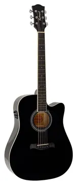 Richwood Artist Series RD-12-CEBK acoustic guitar