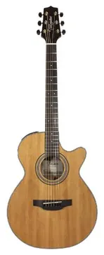 Takamine GSF1CE Natural
