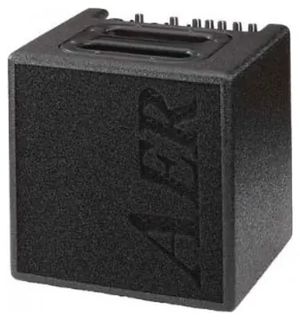 AER Alpha 40 Acoustic Amp with Gig Bag