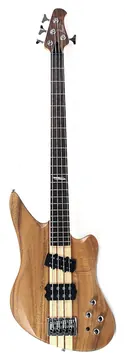 ACTION-MUSIC-de Ivasion E-BASS TBB-720 Aktiv Bass