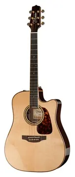 Takamine P7DC w/Softcase