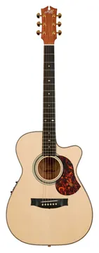 Maton EBG808C MicFix w/Case