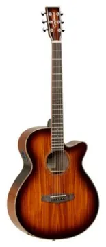Tanglewood Serie Winterleaf Tw4e Autumn Burst Gloss
