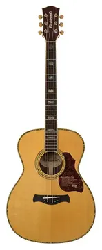 Richwood A-70-VA Chitarra acustica auditorium