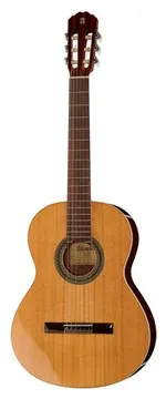 Alhambra 2C incl. Gig Bag