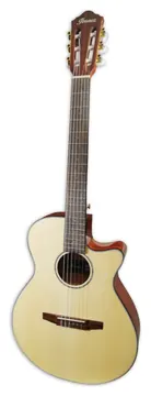 Ibanez AEG50N-NT Nylon