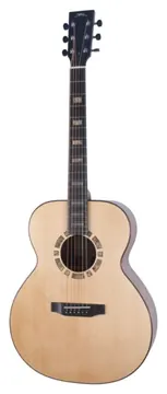 BSG Guitars GA 29 F