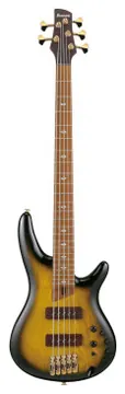 Ibanez SR4505DST Desert Sunset Burst basse electrique 5 cordes avec valise