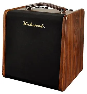 Richwood acoustic guitar amplifier - RPF-65
