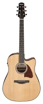 Ibanez AAD51CE Natural High Gloss