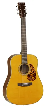 Tanglewood TW40DANE Sundance Dreadnought Elektro-Akustik-Gitarre, antique natural