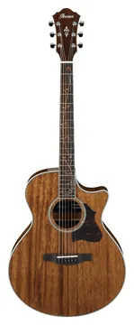 Ibanez AE245NT Chitarra Acustica Elettrificata Natural Open Pore
