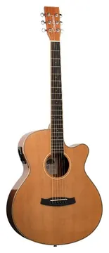 Tanglewood WINTERLEAF TW4 CE NA