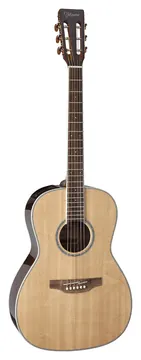Takamine New Yorker GY51 Electro Natural