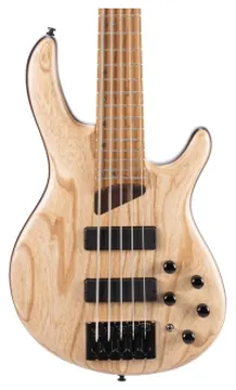 Cort B5 Element Open Pore Natural