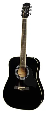 Richwood RD12BK Western Gitaar