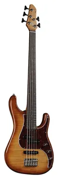 EKO Guitars Aire 800-5 Musa Bass Honey Burst