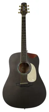 Seizi Violao Original Akira Mirai Space Grey Gold Half Cutaw