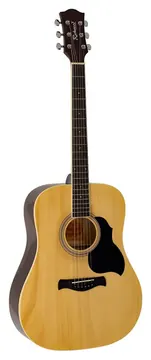 Richwood Artist Series RD-12 acoustic guitar