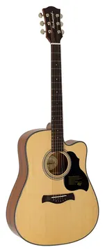 Richwood All Solid Master Series D-240-C custom shop dreadnought