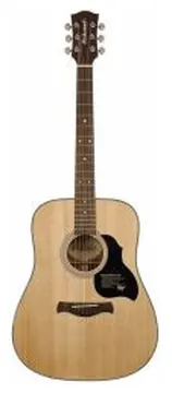 Richwood Master Series D40 Handmade Dreadnought guitar, Solid Spruce, Gloss finish