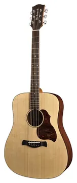 Richwood D20 Western gitaar