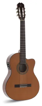 Admira Juanita Electrificada Cutaway