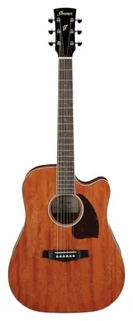 Ibanez PF16MWCE-OPN Natural Performance