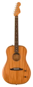 Fender Highway Series™ Dreadnought
