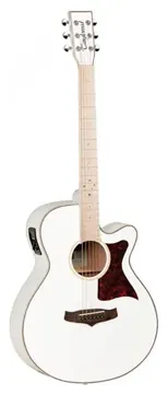 Tanglewood TW4CE BLW Super Folk Guitar