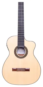 Rozini RX621 Premium Auditorio Nylon Fishman Com Bag