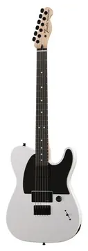 Fender Jim Root Telecaster Flat White