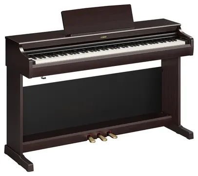 Yamaha Arius YDP-166 Digitalpiano Rosenholz – 90 € Cashback