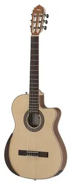 Manuel Rodriguez Ecologia Samba Plano Truss Rod