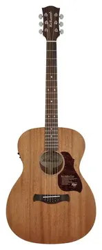Richwood A-50-E Chitarra Acustica Auditorium Elettrificata