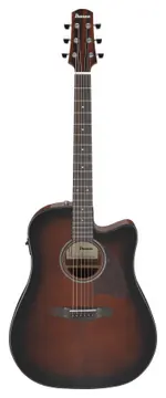 Ibanez AAD51CE-DVS