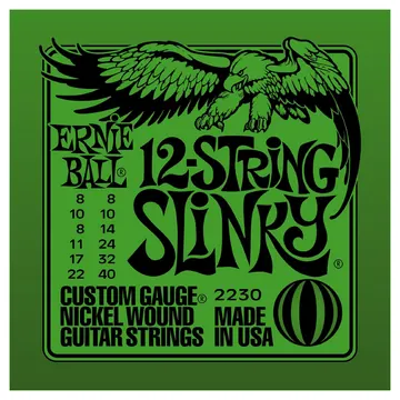 Ernie Ball Slinky 12-String Guitar Guitar String Set