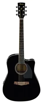 Ibanez PF15ECE-BK