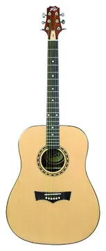 Peavey DW1ACG Chitarra Acustica