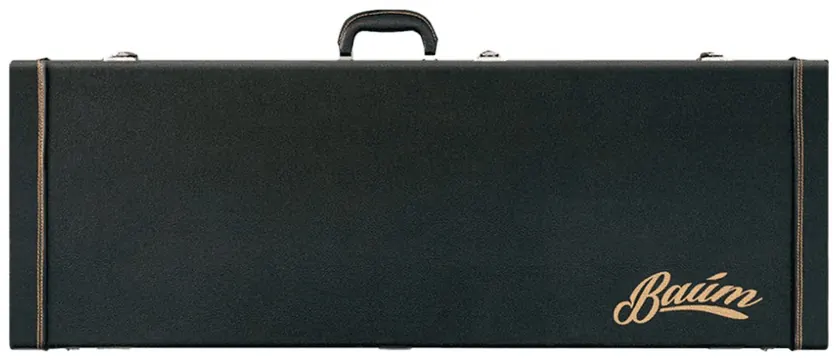 Baum Electric Guitar Case