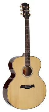 Richwood Artist Series RJ-27 jumbo guitar