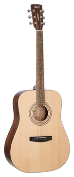 Cort Earth 60 Dreadnought