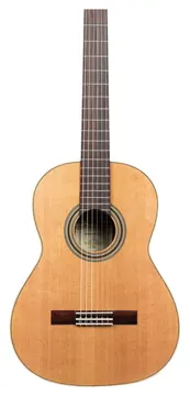 Ortega Traditional 4/4 + Pro-Gigbag