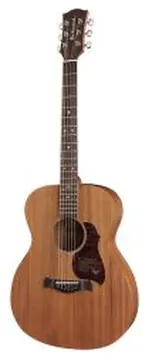 Richwood Master Series Handmade Auditorium OOO Guitar, A-50-E