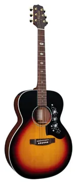 Takamine EG-450DLX - Takamine
